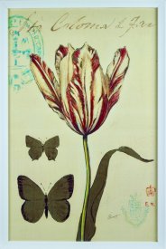 Vintage botaniska tavla