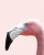 Flamingo tavla med guld ram